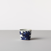 Iroha Cup