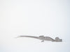 Chameleon Lizard Tongs - Japan