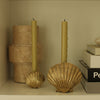 Brass Shell Candle Holder