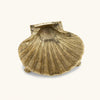 Brass Shell Plate