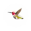 Beaded Brooch Pin - Sparkling Hummingbird