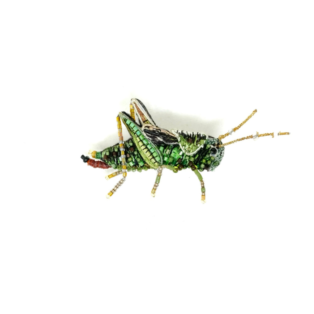 Beaded Brooch Pin - Stripped Grasshopper Brooch Pin