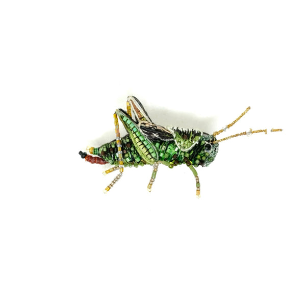 Beaded Brooch Pin - Stripped Grasshopper Brooch Pin
