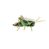 Beaded Brooch Pin - Stripped Grasshopper Brooch Pin