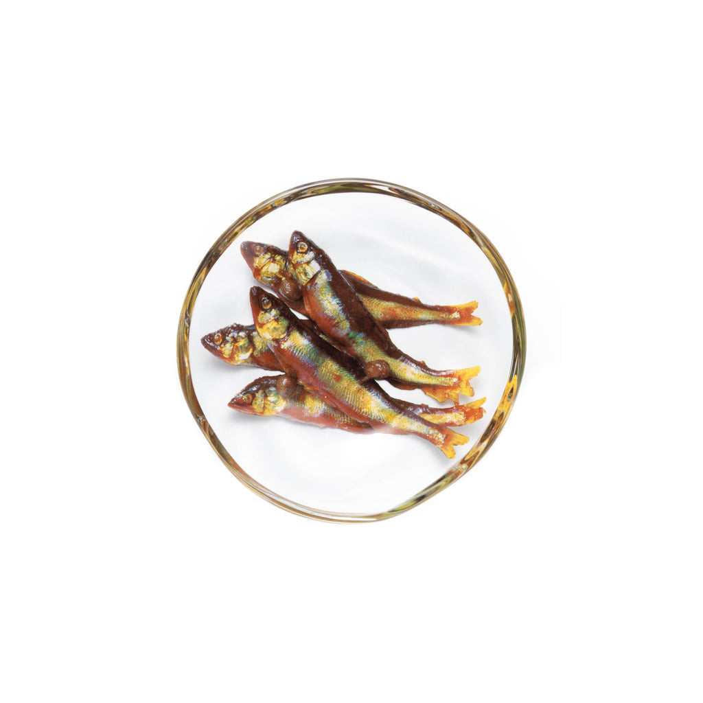 Imitation Plate - Fish