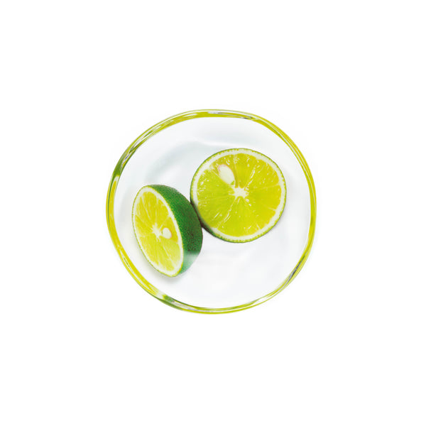 Imitation Plate - Japanese Citrus